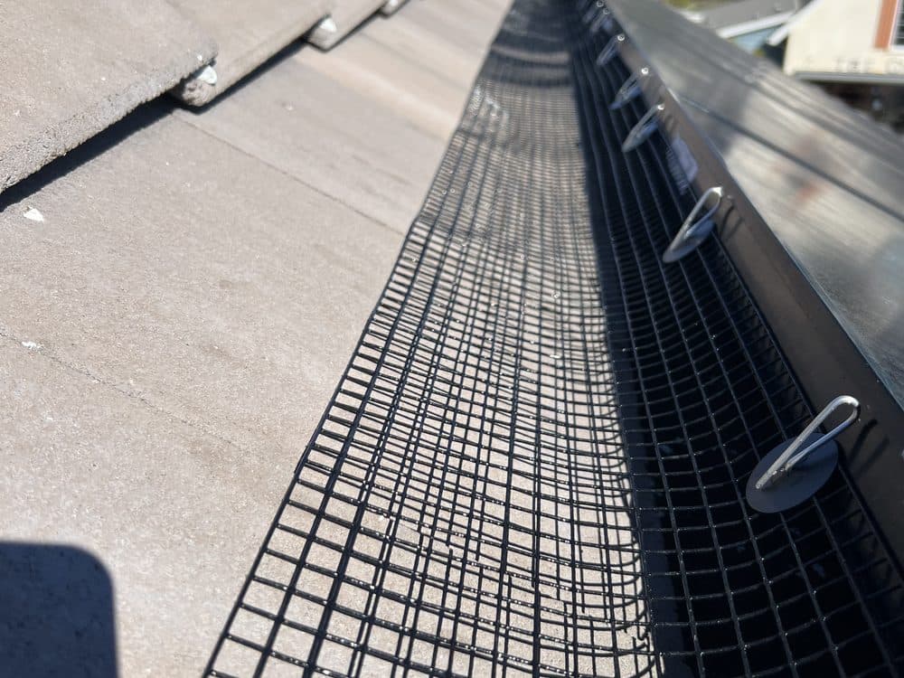 Window Wizards bird proofing service in Los Angeles