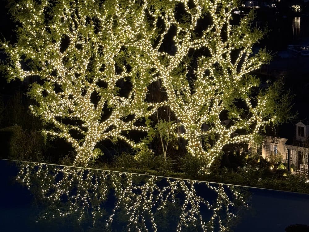 Window Wizards christmas light installation service in Los Angeles
