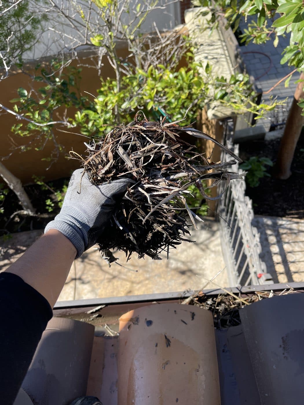 Window Wizards gutter cleaning in Los Angeles