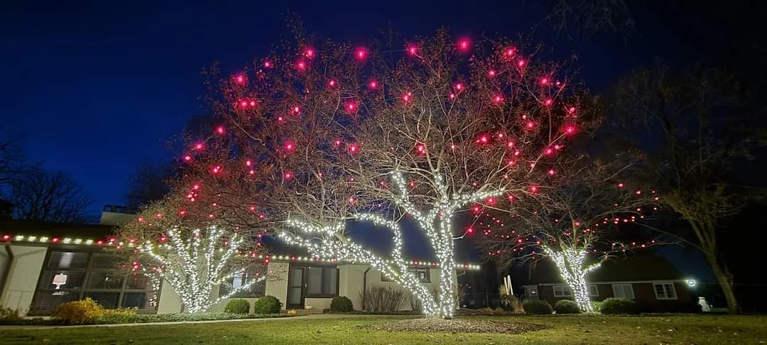 Red-bulb tree and white-wrapped trunks beside a ranch roofline lit by 626 Christmas