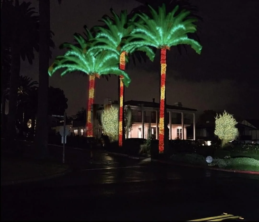Palm trees wrapped in red and green Christmas lights by 626 Christmas in the San Gabriel Valley