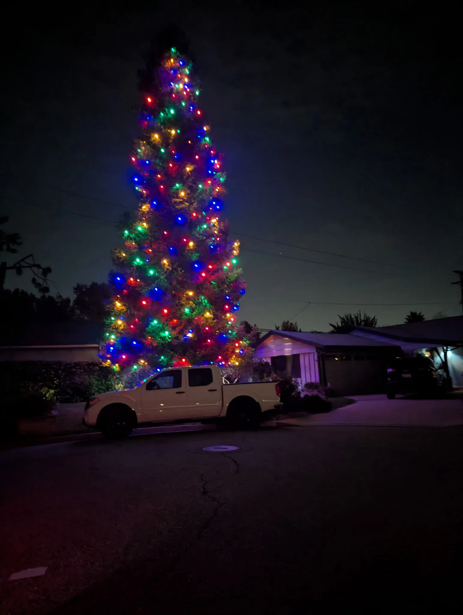 Tall pine tree fully wrapped in multicolor Christmas lights by 626 Christmas
