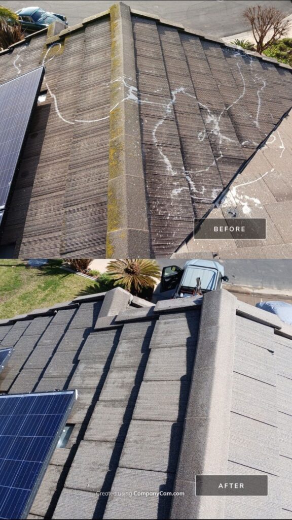 Transformative Roof Cleaning For Solar Panel Shine Walnut CA