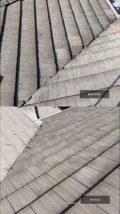 Incredible Roof Cleaning Transformation Fremont CA