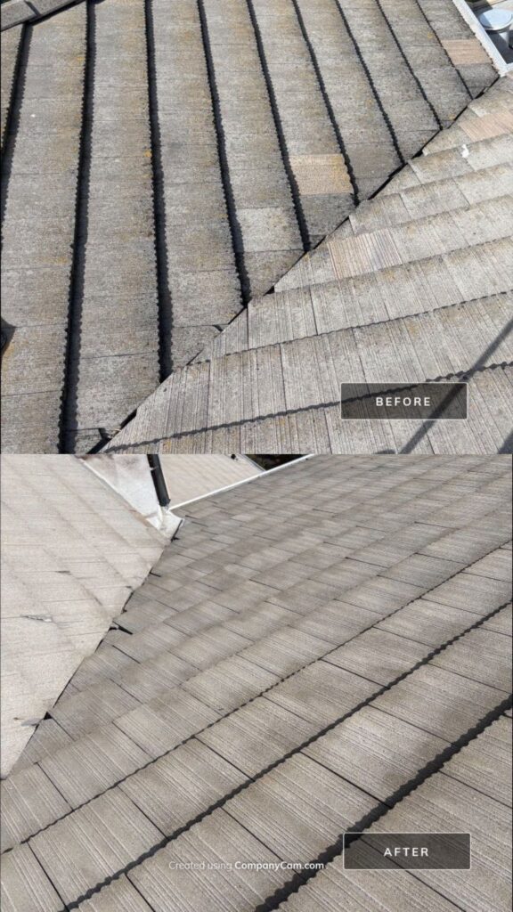Incredible Roof Cleaning Transformation Fremont CA