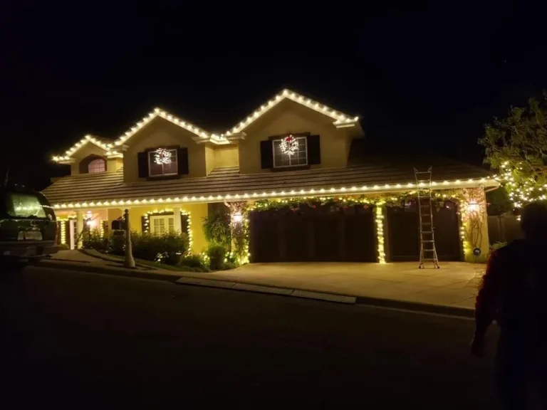 Professional Bee Merry Christmas Lights Newbury Park.webp