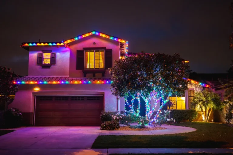 best Bee Merry Christmas Lights in Newbury Park.webp