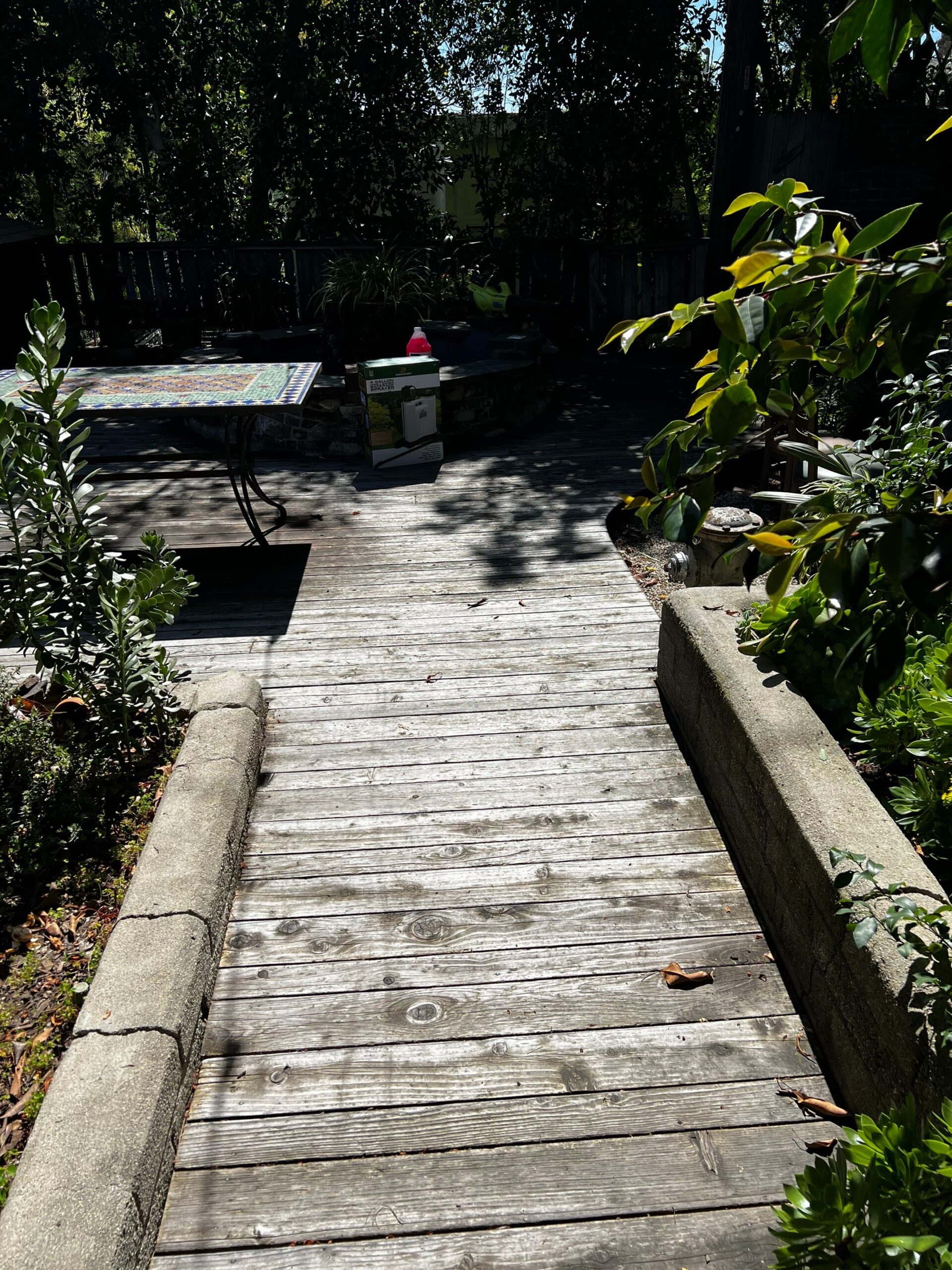 0829c8f9 ff7c 4729 8b91 7e38976a2d43 scaled.jpg