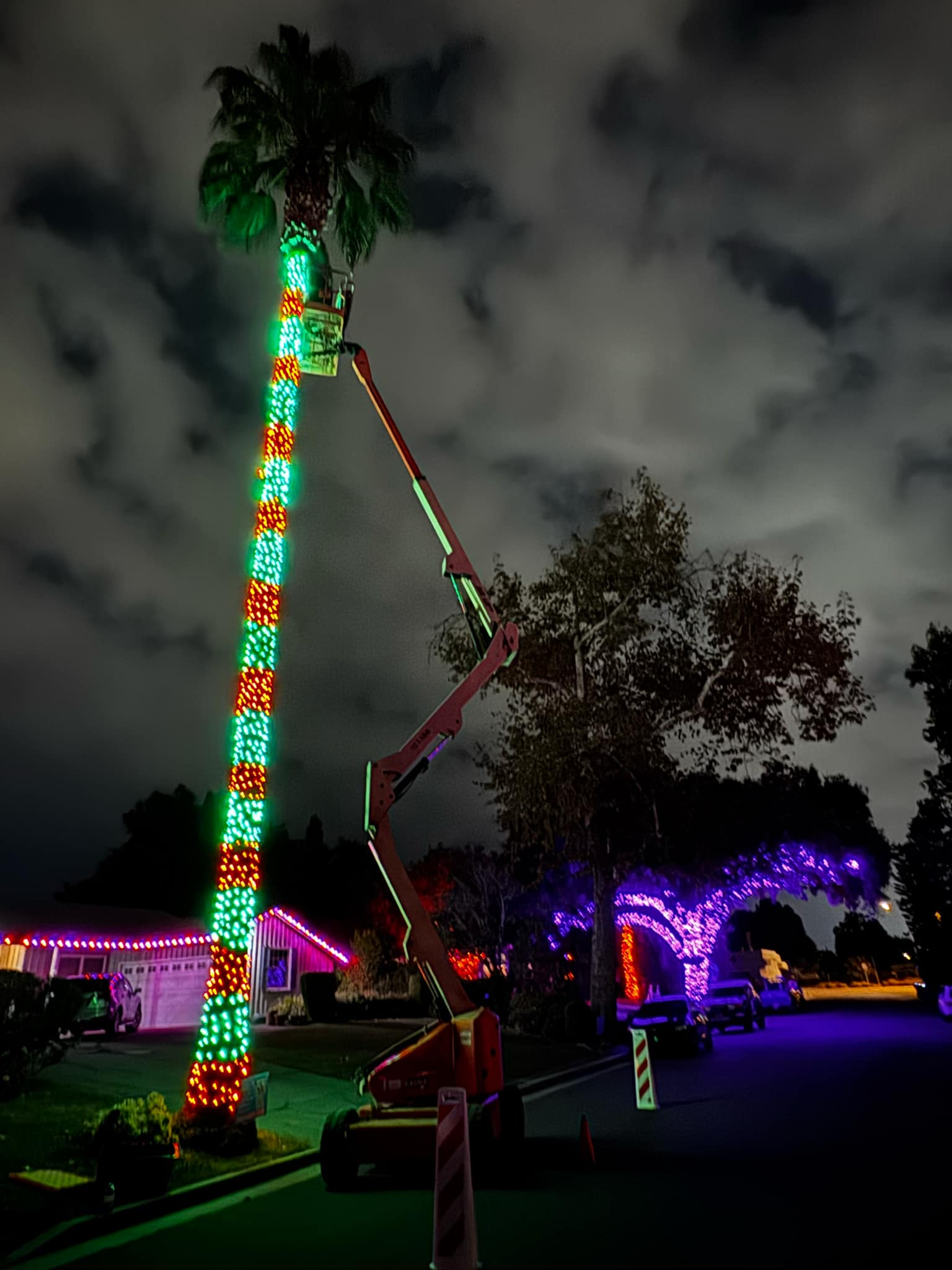 Best Holiday Light Hangers Los Angeles CA.jpg
