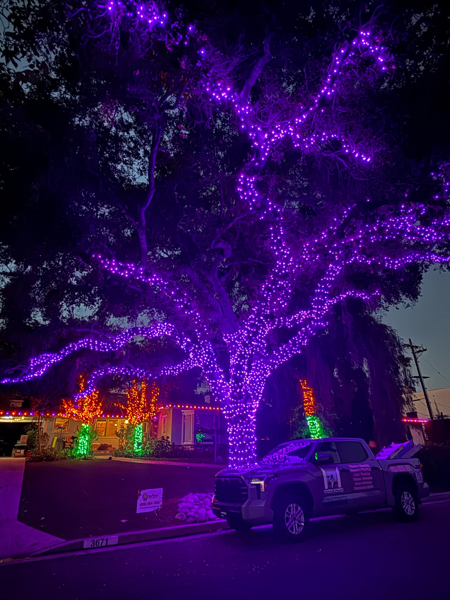 Holiday Light Installation Services Los Angeles CA.jpg