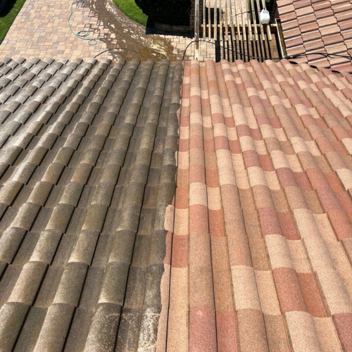 Untitled design 26.png